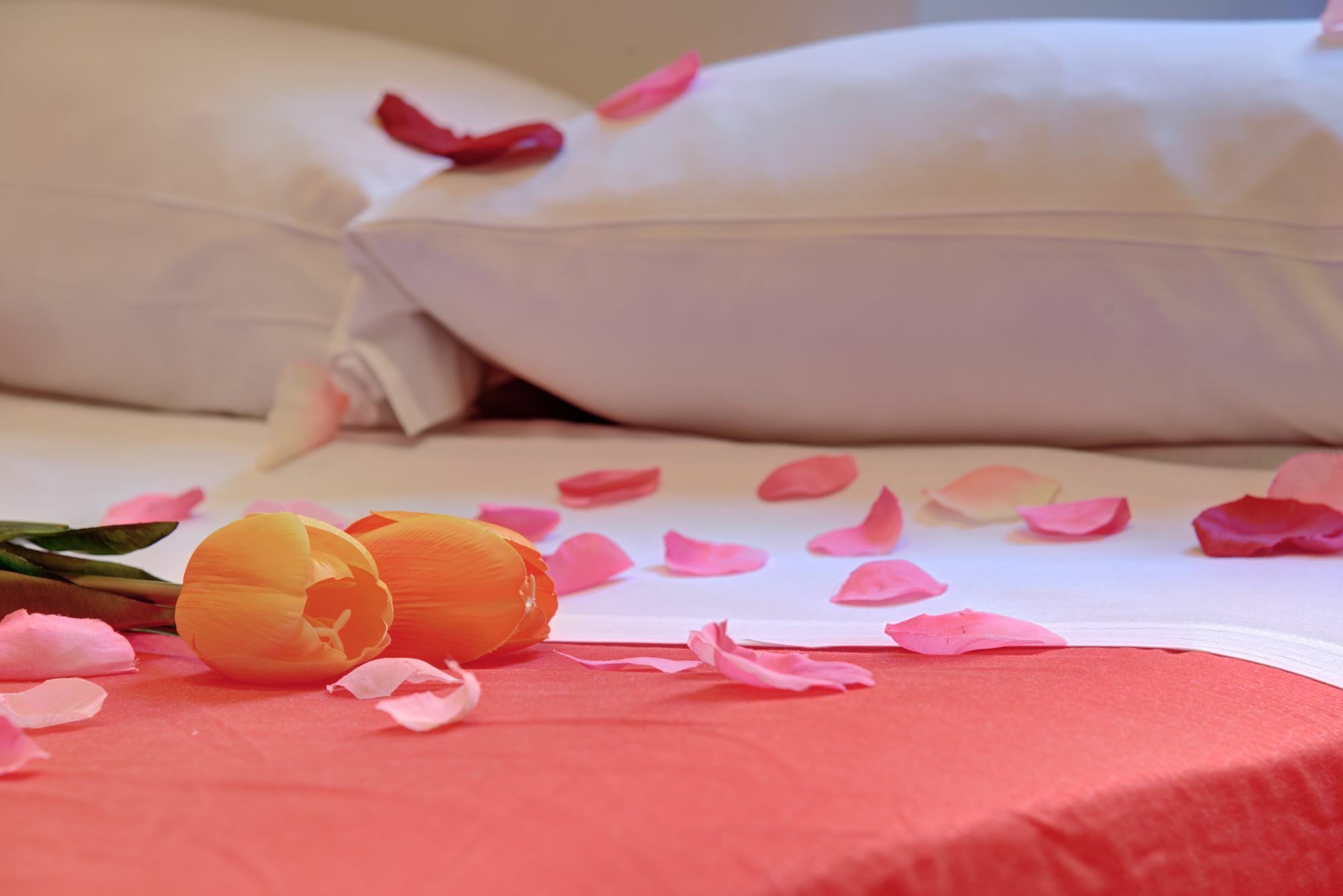 Ad Hoc Guest House Ρώμη Εξωτερικό φωτογραφία