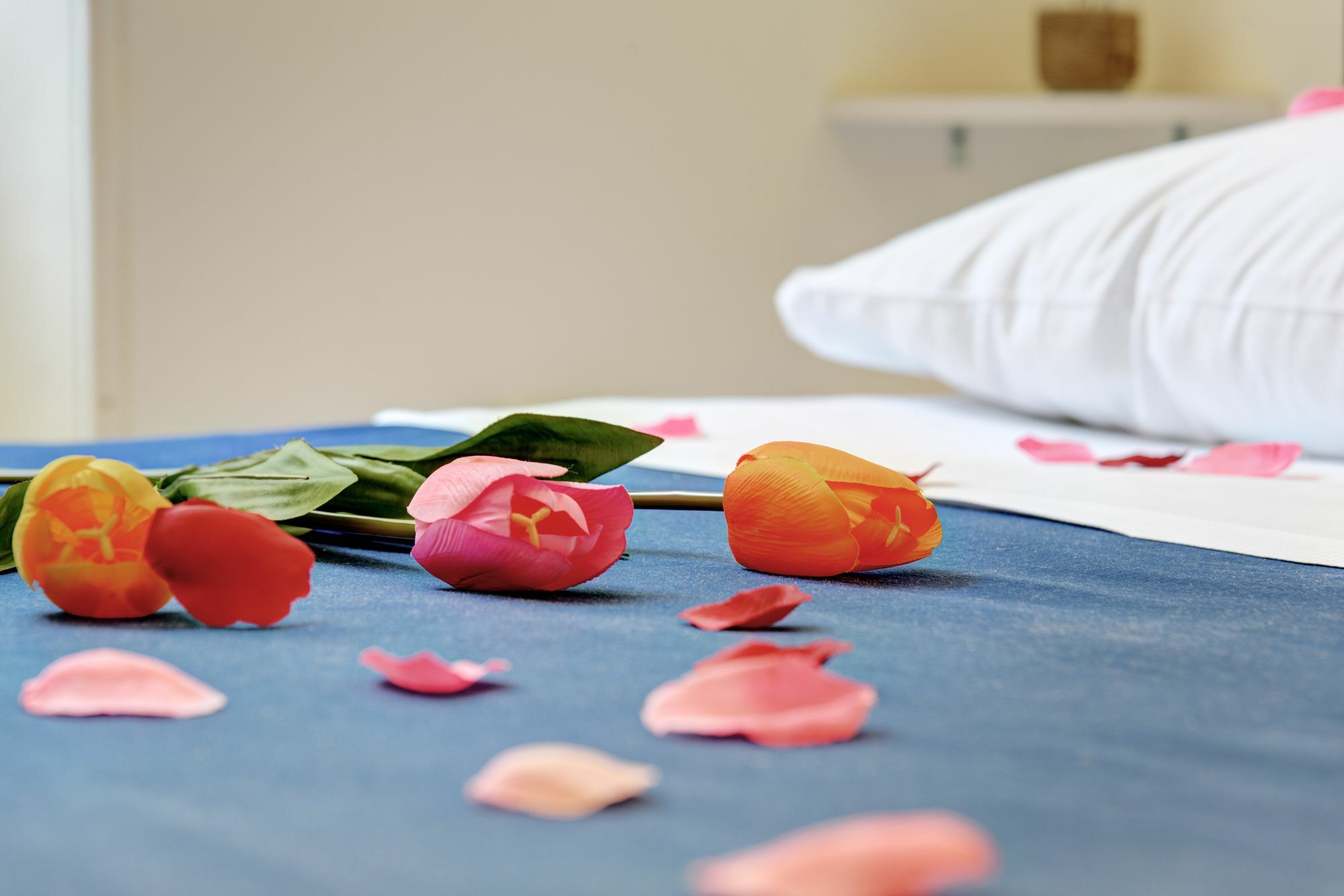Ad Hoc Guest House Ρώμη Εξωτερικό φωτογραφία